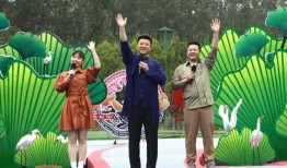 新爆料最新消息视频播放,最新消息背后的惊人真相